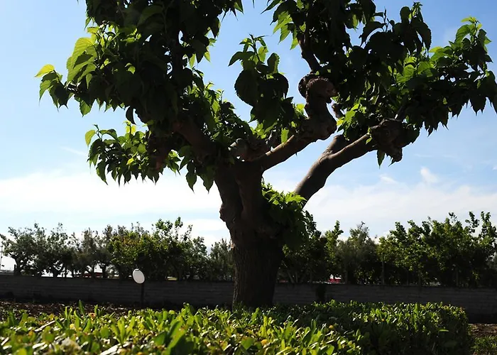 Frontemare Frühstückspension 3*