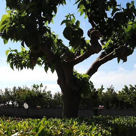 Frontemare فندق مبيت وإفطار 3*