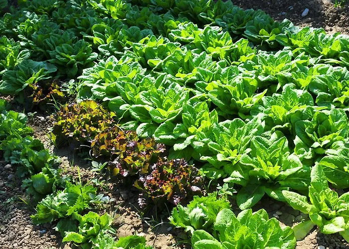 Frontemare Giulianova